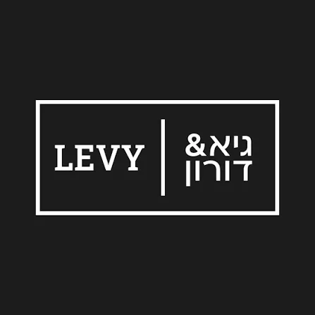 גיא ודורון לוי